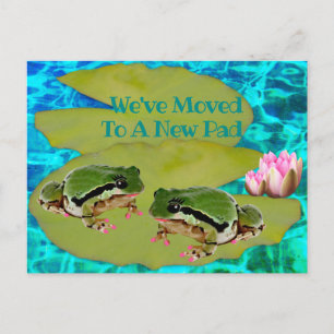 Humorische kikkers Lilies Pad We verhuisden de aan Briefkaart