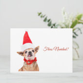 Humoristisch | grappige chihuahua | uniek & ongewo feestdagenkaart (Staand voorkant)