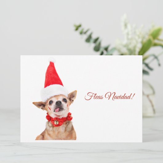 Humoristisch | grappige chihuahua | uniek & ongewo feestdagenkaart (Staand voorkant)