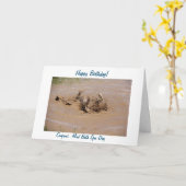 Humoristische foto van bokser die een spa modderba kaart (Gele Bloem)