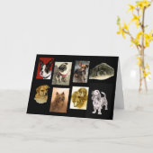 humoristische hondenparken sneeuwengelen kaart (Gele Bloem)