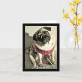 Humoristische Moederdag Pug Kaart (Gele Bloem)