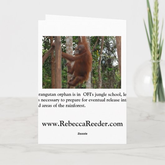 Humoristische Valentijn voor iedereen Feestdagen Kaart (Achterkant)