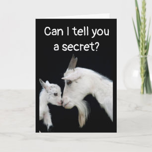 HUMORISTISCHE "VERLATE" VERJAARDAG GEEN MOEITE OVE KAART