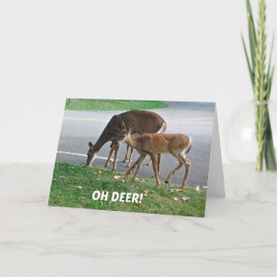 Humoristische verlate verjaardagswensen kaart