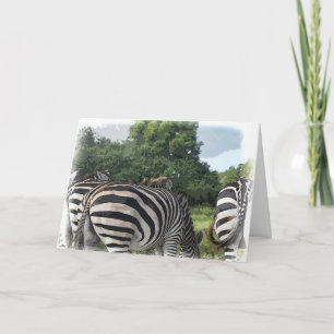 Humoristische Zebra achter Get Well Kaart