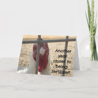 Humorous Old Adult Birthday Kaart