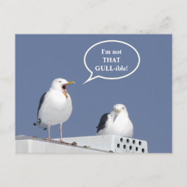 Humorous Yelling Seagull Funny Post Card Briefkaart