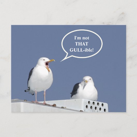 Humorous Yelling Seagull Funny Post Card Briefkaart (Voorkant)