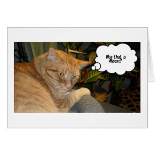 Humour Chat et souris