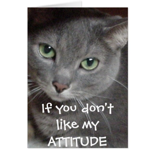 Humour d'attitude de chat bleu russe (Devant)