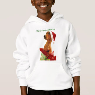 Humour de Noël