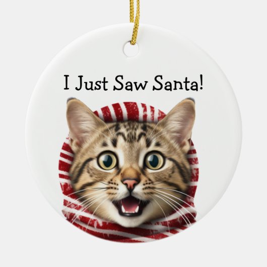 Humour de Noël Kitty Ornement de chat (Devant)