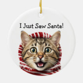 Humour de Noël Kitty Ornement de chat (Dos)