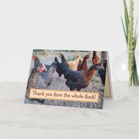 Humour de poulets drôle Barnyard Carte de remercie (Devant)