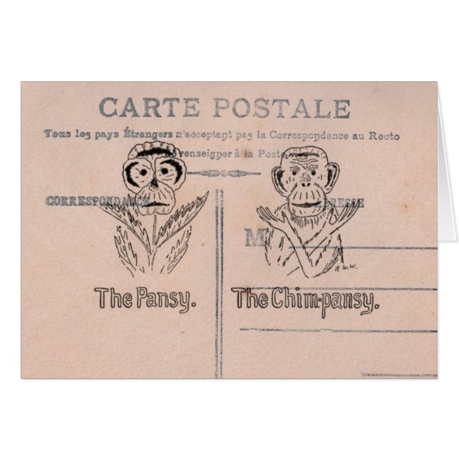 Humour Pansy et Chimp (Devant horizontal)