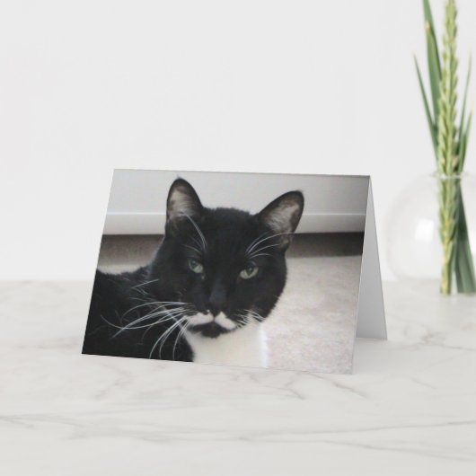 Humour Tuxedo Cat carte d'anniversaire (modèle) (Devant)