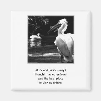 Humoureuze Pelicans Magneet
