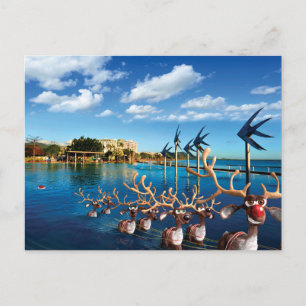 Humoureuze postkaarten van de Santa Pilgrimage Feestdagenkaart