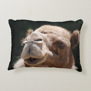 Hump Day Camel Accent Kussen