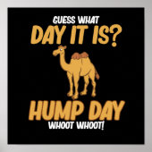 Hump Day Camel Animal Lover Camels Pet Owner Graph Poster (Voorkant)