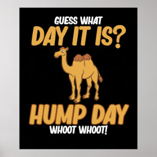 Hump Day Camel Animal Lover Camels Pet Owner Graph Poster