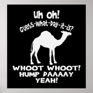 Hump Day Camel Black en White Poster