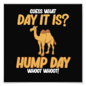 Hump Day Camel Dierenvriend Camels Pet Owner Graph Foto Afdruk (Voorkant)
