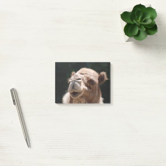 Hump Day Camel Post-it® Notes (Kantoor)