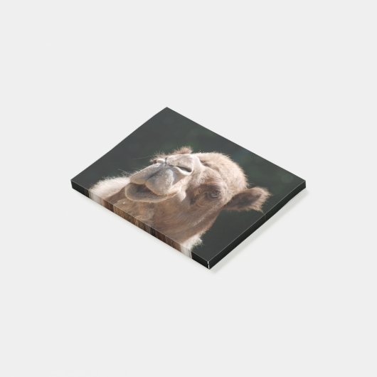 Hump Day Camel Post-it® Notes (Schuin)