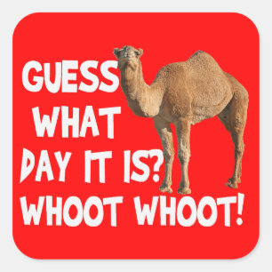 Hump Day Camel raad eens op welke dag de stickers 
