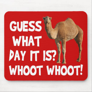 Hump Day Camel raad eens op welke dag het is Muismat