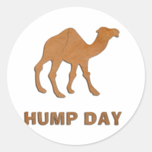 HUMP DAY CAMEL RONDE STICKER