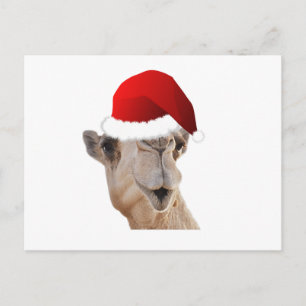 Hump Day Camel Santa Claus Pet Feestdagenkaart