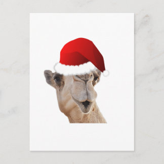 Hump Day Camel Santa Claus Pet Feestdagenkaart