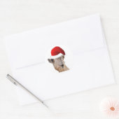 Hump Day Camel Santa Claus Pet Ronde Sticker (Envelop)