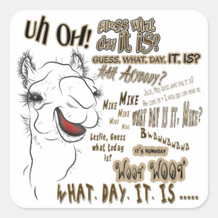 Hump Day Camel Vierkante Sticker