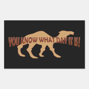 HUMP DAY HUMP DAY CAMEL RECHTHOEKIGE STICKER
