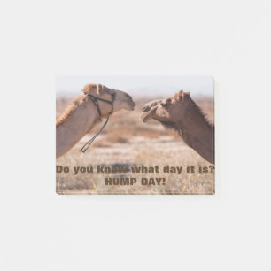 Hump Day-kamels Post-it® Notes