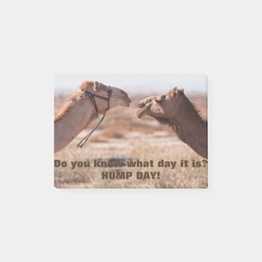 Hump Day-kamels Post-it® Notes (Voorkant)