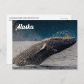 Humpback Breach Alaska Briefkaart (Voorkant / Achterkant)