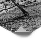 Humpback Covered Bridge Poster (Hoek)