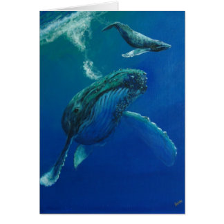 Humpback en Calf