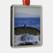 Humpback staart. metalen ornament (Rechts)