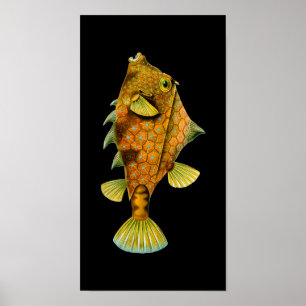 Humpback Turretfish, Ernst Haeckel Fine Art Poster