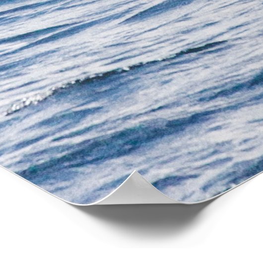 Humpback walvis die de verenigde staten schendt poster (Hoek)