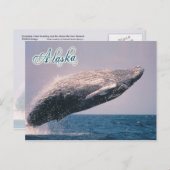 Humpback walvisjacht, Alaska Briefkaart (Voorkant / Achterkant)