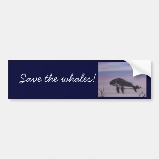 Humpback walvisschilderij bumpersticker (Voorkant)