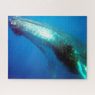 Humpback Whale Alaska Legpuzzel