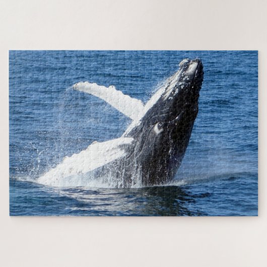 Humpback Whale Alaska Legpuzzel (Horizontaal)